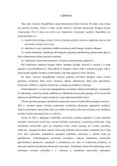 Autorių teisių pažeidimo formos 3 puslapis