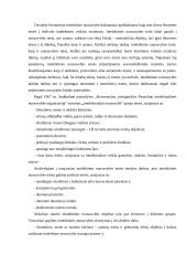Autorių teisių pažeidimo formos 6 puslapis