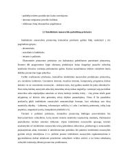 Autorių teisių pažeidimo formos 10 puslapis