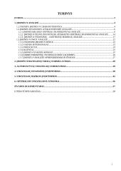 Įmonės finansų strategijos parengimas 2 puslapis