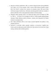 Įmonės finansų strategijos parengimas 16 puslapis