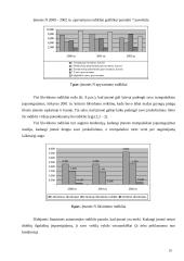 Įmonės finansų strategijos parengimas 20 puslapis