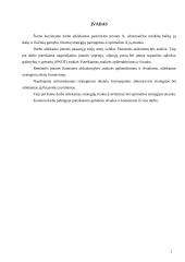 Įmonės finansų strategijos parengimas 3 puslapis