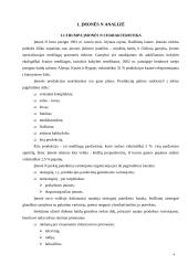 Įmonės finansų strategijos parengimas 4 puslapis