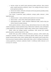 Įmonės finansų strategijos parengimas 5 puslapis