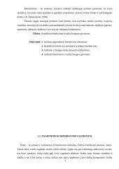 Bendravimo svarba žmogaus gyvenime 3 puslapis