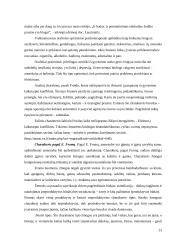 Charakterio bei temperamento tipai 13 puslapis