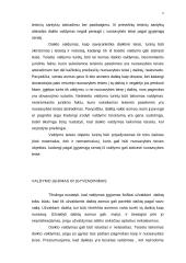 Daiktinė teisė 6 puslapis