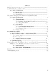 Įmonės gamybos kaštų ekonominis įvertinimas: UAB "Žvaigždžių lietus" 2 puslapis