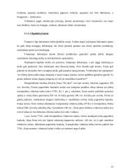 Įmonės gamybos kaštų ekonominis įvertinimas: UAB "Žvaigždžių lietus" 13 puslapis