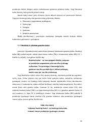 Įmonės gamybos kaštų ekonominis įvertinimas: UAB "Žvaigždžių lietus" 18 puslapis