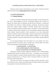 Įmonės gamybos kaštų ekonominis įvertinimas: UAB "Žvaigždžių lietus" 8 puslapis