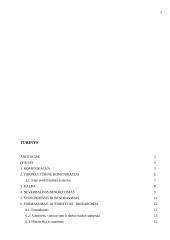 Dalykinis bendravimas su Vokietija 2 puslapis