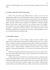 Dalykinis bendravimas su Vokietija 14 puslapis