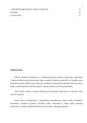 Dalykinis bendravimas su Vokietija 3 puslapis