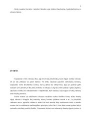 Dalykinis bendravimas su Vokietija 4 puslapis