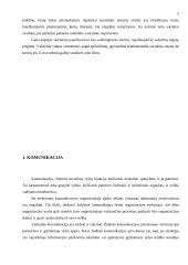 Dalykinis bendravimas su Vokietija 5 puslapis