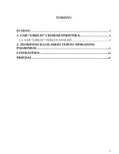 Įmonės ilgalaikio turto apskaita ir analizė: UAB "Girilis" 2 puslapis