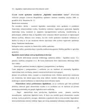 Įmonės ilgalaikio turto apskaita ir analizė: UAB "Girilis" 20 puslapis