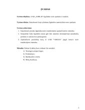 Įmonės ilgalaikio turto apskaita ir analizė: UAB "Girilis" 3 puslapis