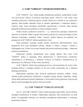 Įmonės ilgalaikio turto apskaita ir analizė: UAB "Girilis" 4 puslapis