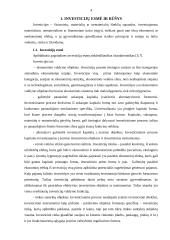 Įmonės investicijų struktūros finansinė analizė 2 puslapis