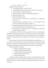 Įmonės investicijų struktūros finansinė analizė 11 puslapis