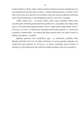 Įmonės investicijų struktūros finansinė analizė 13 puslapis