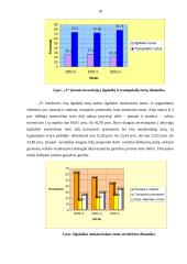 Įmonės investicijų struktūros finansinė analizė 16 puslapis