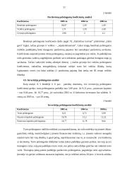 Įmonės investicijų struktūros finansinė analizė 19 puslapis