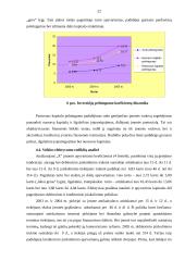 Įmonės investicijų struktūros finansinė analizė 20 puslapis