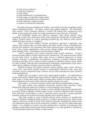 Darbo psichologija 5 puslapis