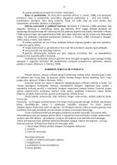 Darbo psichologija 10 puslapis