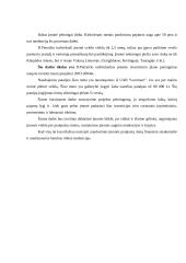 Įmonės investicinio plano parengimas: D. Petraičio IĮ 2 puslapis