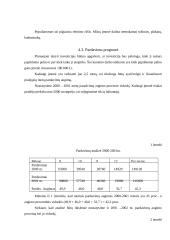 Įmonės investicinio plano parengimas: D. Petraičio IĮ 11 puslapis