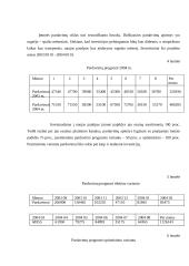 Įmonės investicinio plano parengimas: D. Petraičio IĮ 13 puslapis