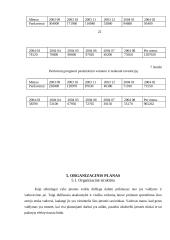 Įmonės investicinio plano parengimas: D. Petraičio IĮ 14 puslapis