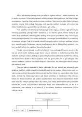 Įmonės investicinio plano parengimas: D. Petraičio IĮ 15 puslapis