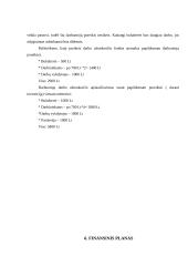 Įmonės investicinio plano parengimas: D. Petraičio IĮ 17 puslapis