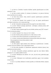 Įmonės investicinio plano parengimas: D. Petraičio IĮ 19 puslapis