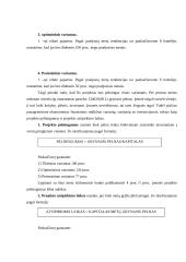 Įmonės investicinio plano parengimas: D. Petraičio IĮ 20 puslapis