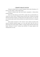 Įmonės investicinio plano parengimas: D. Petraičio IĮ 3 puslapis