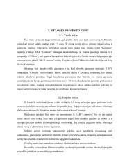 Įmonės investicinio plano parengimas: D. Petraičio IĮ 4 puslapis