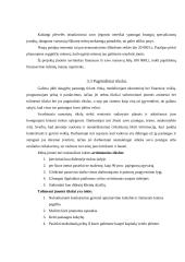 Įmonės investicinio plano parengimas: D. Petraičio IĮ 5 puslapis