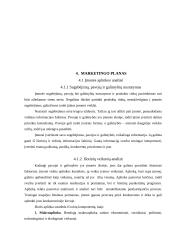 Įmonės investicinio plano parengimas: D. Petraičio IĮ 6 puslapis