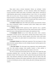 Įmonės investicinio plano parengimas: D. Petraičio IĮ 7 puslapis