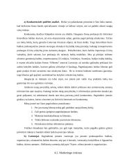 Įmonės investicinio plano parengimas: D. Petraičio IĮ 8 puslapis