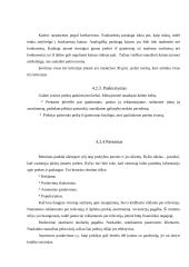 Įmonės investicinio plano parengimas: D. Petraičio IĮ 10 puslapis