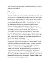 Dauno sindromas ir gyvenimo perspektyvos 10 puslapis