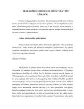 Dėmesio tipai 11 puslapis